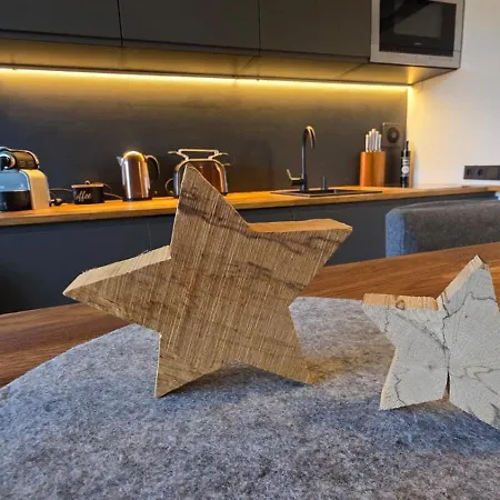 Dachstein104 شقة *