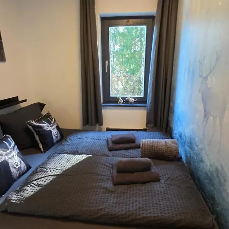Apartmán Dachstein104 *