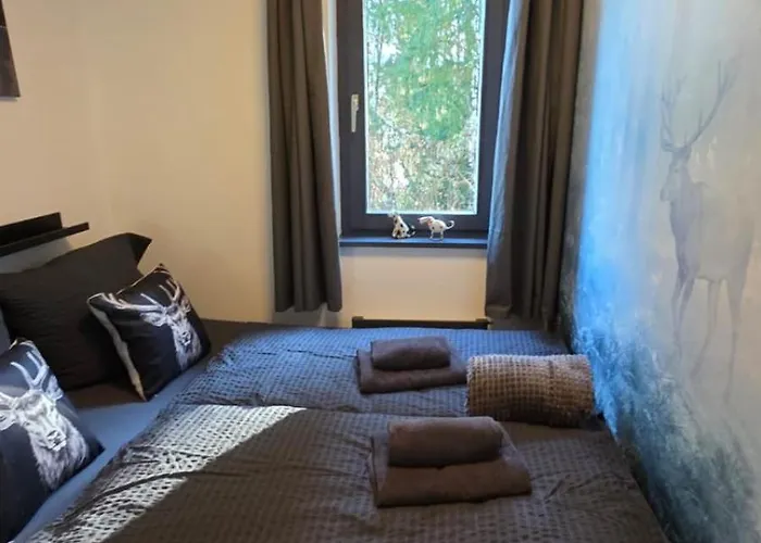 شقة Dachstein104 *