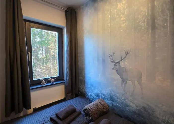 Dachstein104 באד גויסרן